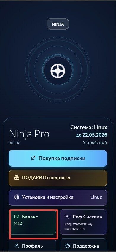 Кнопка Баланс на главной странице