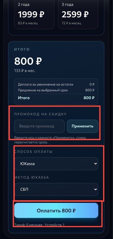 Промокод, способ оплаты и кнопка Оплатить